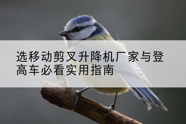 普宁电动升降机厂家-选移动剪叉升降机厂家与登高车必看实用指南