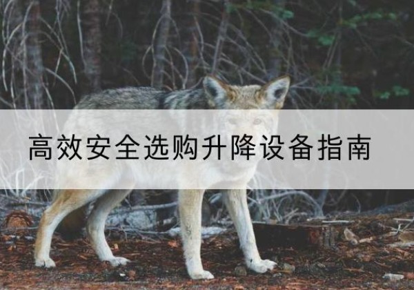 普宁升降货梯厂家推荐-*安全选购升降设备指南